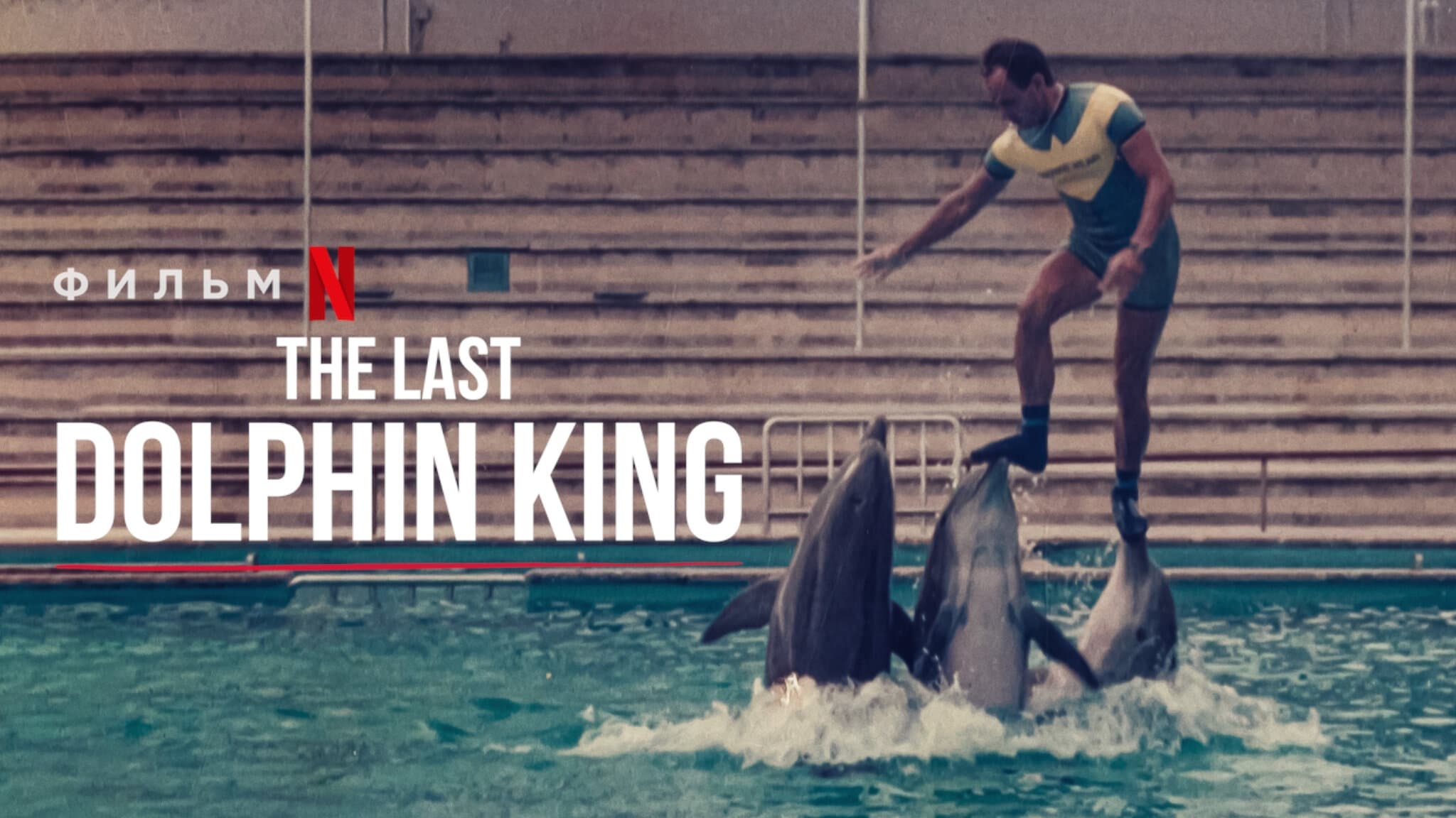 The Last Dolphin King (2022) ราชาโลมาตัวสุดท้าย SPINNERHD อัปเดตภาพยนตร์และซีรีส์ใหม่ทุกวัน - ภาพยนตร์สตรีมมิ่งฟรี