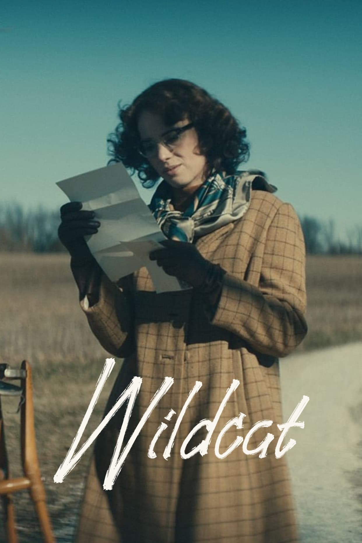 Wildcat (2024) แมวป่า SPINNERHD อัปเดตภาพยนตร์และซีรีส์ใหม่ทุกวัน - ภาพยนตร์สตรีมมิ่งฟรี