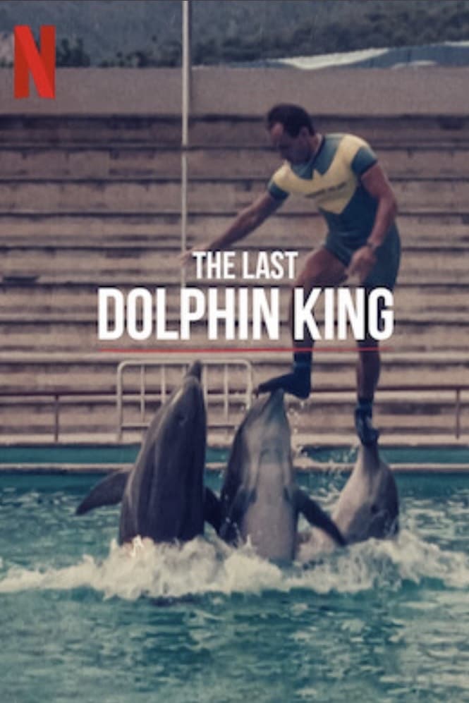 The Last Dolphin King (2022) ราชาโลมาตัวสุดท้าย SPINNERHD อัปเดตภาพยนตร์และซีรีส์ใหม่ทุกวัน - ภาพยนตร์สตรีมมิ่งฟรี